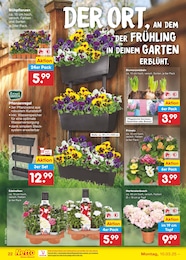 Blumen Angebot im aktuellen Netto Marken-Discount Prospekt auf Seite 34