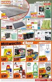 Teppich im Norma Prospekt in Mettmann Aktueller Norma Prospekt mit Teppich, "Mehr fürs Geld", Seite 13