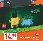 Aktuelles Fröhliche Pflanzen Angebot bei Marktkauf in Münster ab 14,99 €