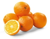 REWE - Bio Orangen Angebot im Prospekt Bio Orangen bei REWE im Prospekt "" für 3,49 €