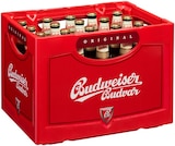 Budweiser Premium Czech Lager im aktuellen REWE Prospekt für 13,99 €