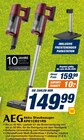 Akku Staubsauger AP61CB21RS im Angebot bei expert in Heidelberg Akku Staubsauger AP61CB21RS Angebote von AEG bei expert Heidelberg für 149,99 €