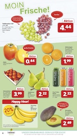 Bananen im famila Nordwest Prospekt in Lingen Aktueller famila Nordwest Prospekt mit Bananen, "Markt - Angebote", Seite 4