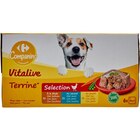 Terrines pour chiens - CARREFOUR COMPANINO VITALIVE - Carrefour Terrines pour chiens - CARREFOUR COMPANINO VITALIVE à 5,99 € dans le catalogue Carrefour