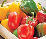 Poivron tricolore en promo chez Intermarché Besançon à 1,59 €