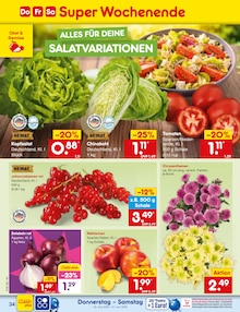 Blumen im Netto Marken-Discount Prospekt "Aktuelle Angebote" mit 62 Seiten (Nürnberg)