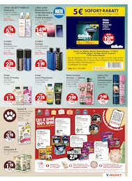 V-Markt Shampoo im Prospekt V-Markt Shampoo im Prospekt