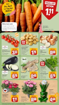 Blumen im REWE Prospekt "Dein Markt" mit 22 Seiten (Trier)