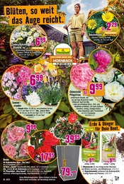 Blumenerde im Hornbach Prospekt in Norderstedt Aktueller Hornbach Prospekt mit Blumenerde, "Dein Wille verlegt Deine Terrasse.", Seite 12
