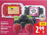 WEZ Stadthagen Prospekt mit  im Angebot für 2,99 €