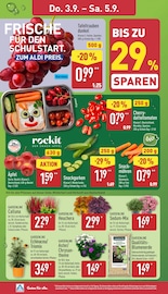 Äpfel im ALDI Nord Prospekt in Freital Aktueller ALDI Nord Prospekt mit Äpfel, "Aktuelle Angebote", Seite 32