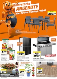 OBI Prospekt für Mühlhausen: "Biberstarke ANGEBOTE", 16 Seiten, 25.04.2026 - 02.05.2026