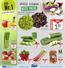 Zucchini im Marktkauf Prospekt "Aktuelle Angebote" mit 55 Seiten (Stuttgart)