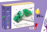 Savons menthe citron en promo chez JouéClub Viry-Châtillon à 25,99 €