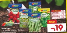 Sämereien bei Netto Marken-Discount in Bergheim Sämereien im Angebot bei Netto Marken-Discount Bergheim