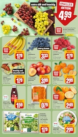 Mango im REWE Prospekt in Mannheim Aktueller REWE Prospekt mit Mango, "Dein Markt", Seite 8