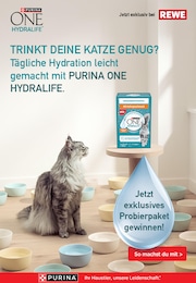 Purina One Prospekt für Bodenwerder: "Trinkt deine Katze genug? - Tägliche Hydration leicht gemacht mit Purina ONE Hydralife", 1 Seite, 22.09.2025 - 02.11.2025