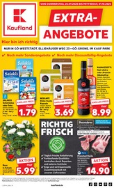 Aktueller Kaufland Supermarkt Prospekt in Uder und Umgebung, "EXTRA-ANGEBOTE" mit 8 Seiten, 25.09.2025 - 01.10.2025