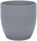 Cache pot céramique Stone - Lidl à Saint-Nazaire Cache pot céramique Stone en promo chez Lidl Saint-Nazaire à 6,99 €