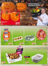 Kraut Angebot & Preis im aktuellen Selgros Prospekt Kraut Angebot im aktuellen Selgros Prospekt auf Seite 4