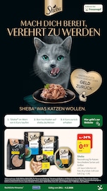 Sheba im Fressnapf Prospekt in Zwickau Aktueller Fressnapf Prospekt mit Sheba, "Liebe hat vier Pfoten", Seite 13