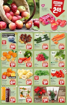 Saft im REWE Prospekt "Dein Markt" mit 40 Seiten (Berlin)