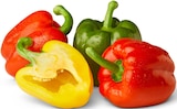 Paprika-Mix Angebote von Marktliebe bei Penny Neustadt für 1,29 €