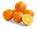 Bio Orangen bei REWE im Groß-Bieberau Prospekt für 1,99 €