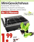 Aktuelles Mini-Gewächshaus Angebot bei Wreesmann in Dresden ab 1,99 €