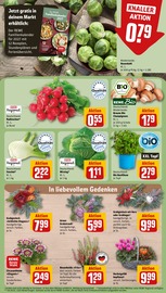 Blumen im REWE Prospekt in Schweinfurt Aktueller REWE Prospekt mit Blumen, "Dein Markt", Seite 11
