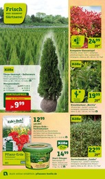 Pflanzen Kölle Gartenerde im Prospekt Pflanzen Kölle Gartenerde im Prospekt