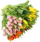 Tulpenstrauß »Harmonie« Angebote bei REWE Emden für 9,99 €