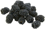 REWE Blaubeuren - Brombeeren Angebot im Prospekt Brombeeren bei REWE im Blaubeuren Prospekt für 2,22 €