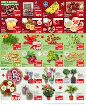 Aktueller Kaufland Prospekt mit Orchidee, "KNÜLLER", Seite 22