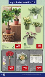 Fleurs Artificielles Angebote im Prospekt "NOS ARRIVAGES BEAUTÉ JUSQU'À -80% SUR LE 2ÈME" von Aldi Fleurs Artificielles Angebote im Prospekt "NOS ARRIVAGES BEAUTÉ JUSQU'À -80% SUR LE 2ÈME" von Aldi auf Seite 36
