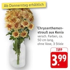 Chrysanthemenstrauß aus Kenia im Angebot bei EDEKA in Ludwigsburg Chrysanthemenstrauß aus Kenia Angebote bei EDEKA Ludwigsburg für 3,99 €