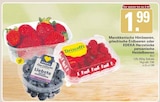 WEZ Rodenberg - Marokkanische Himbeeren Angebot im Prospekt Marokkanische Himbeeren bei WEZ im Rodenberg Prospekt für 1,99 €