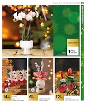 Orchidée Angebote im Prospekt "JOYEUSES FÊTES & MEILLEURS PRIX" von Carrefour auf Seite 65