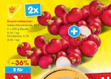 Snackradieschen im Angebot bei Netto Marken-Discount in Bad Oeynhausen Snackradieschen Angebote bei Netto Marken-Discount Bad Oeynhausen für 1,00 €