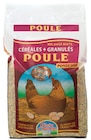 Promo Mélange de graines pour poule pondeuse à 16,85 € dans le catalogue LaMaison.fr à Vihiers