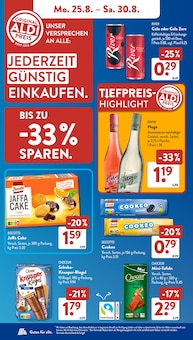 Grill Angebot im aktuellen ALDI SÜD Prospekt auf Seite 6