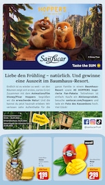 Ananas im REWE Prospekt in Heidelberg Aktueller REWE Prospekt mit Ananas, "Dein Markt", Seite 11