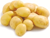 Aktuelles Speisefrühkartoffeln Angebot bei Netto mit dem Scottie in Cottbus ab 3,69 €
