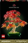 LEGO® Botanicals 10348 Bonsaï d’érable rouge du Japon - LEGO dans le catalogue Fnac