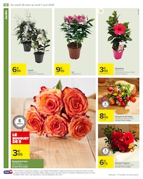 Offre Tulipes dans le catalogue Carrefour du moment à la page 58