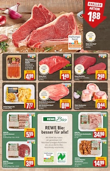 Fleisch im REWE Prospekt "Dein Markt" mit 32 Seiten (Regensburg)