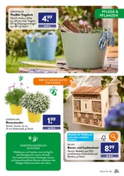 Ähnliche Angebote wie Gartenzwerg im Prospekt "ENDLICH WIEDER GARTENZEIT." auf Seite 33 von ALDI SÜD in Euskirchen