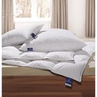 Aktuelle Bettdecke Angebote bei XXXLutz Möbelhäuser in Duisburg Aktuelles GANZJAHRESDECKE Catalina Mono 135/200 cm Angebot bei XXXLutz Möbelhäuser in Duisburg ab 314,25 €