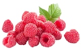 Himbeeren im Angebot bei REWE in Bottrop Himbeeren Angebote bei REWE Bottrop für 1,79 €