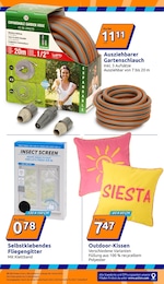 Fliegengitter Angebot im aktuellen Action Prospekt auf Seite 17